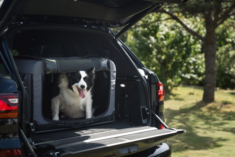 Pratique pour les trajets en voiture et facile à ranger