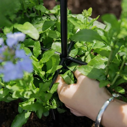 Support stable pour une floraison abondante