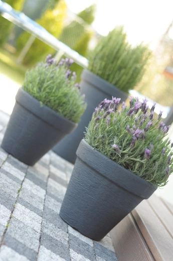 Surface structurée élégante pour des espaces modernes comme classiques