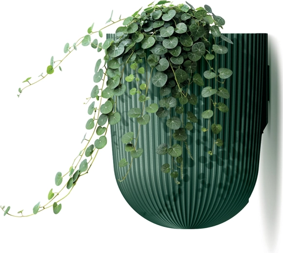 Design rainuré stylé pour une verdure verticale