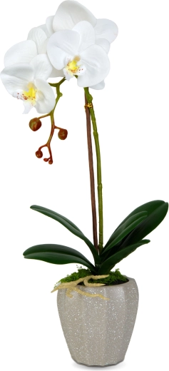 Aspect réaliste de l’orchidée