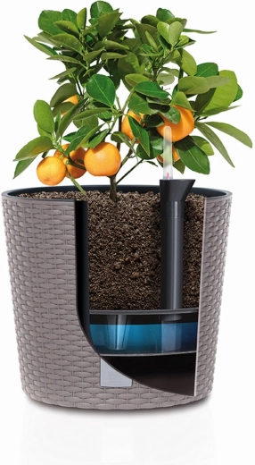 Culture facilitée grâce à l’insert amovible