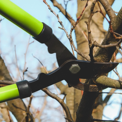 Sécateur de jardin pour branches avec lame en acier