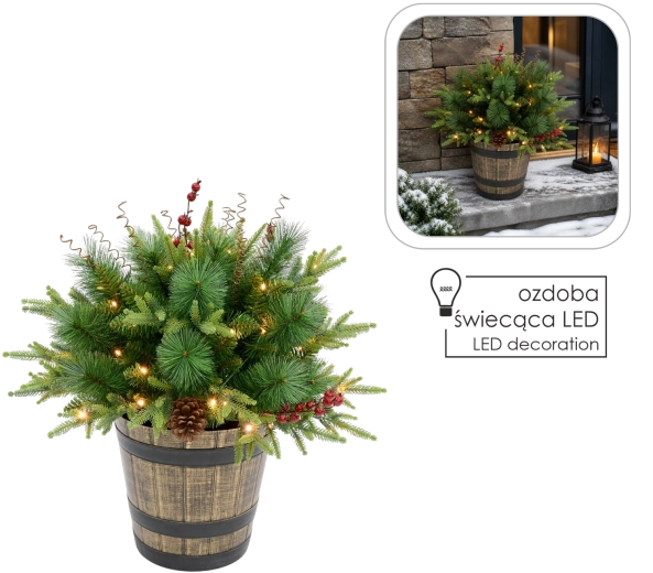 Composition de conifères généreuse
