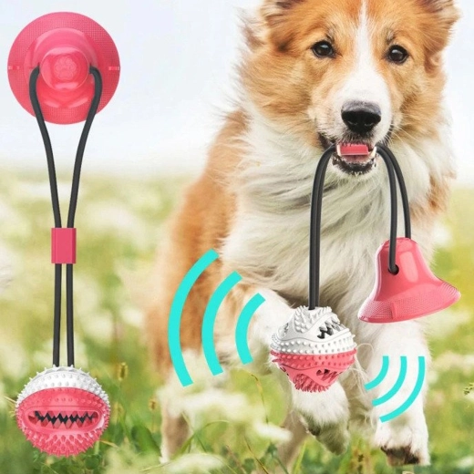 Des dents et des gencives saines à chaque jeu