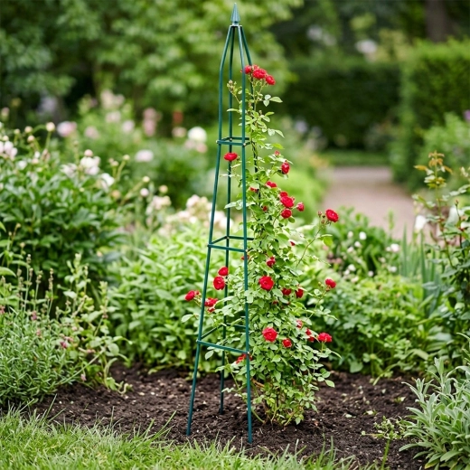 Support solide pour plantes grimpantes