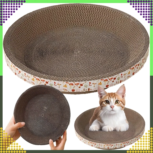 Carton en nid d’abeille résistant et recyclé