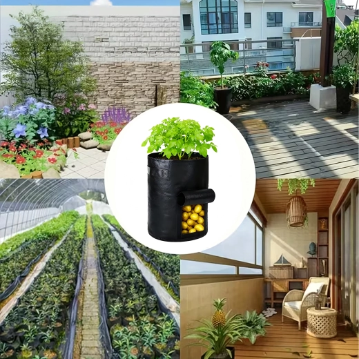 Transport et culture partout