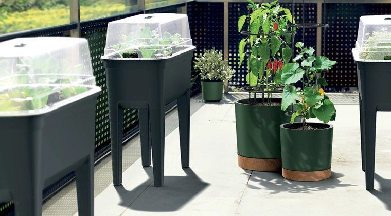 Structure de support intégrée pour une croissance sûre