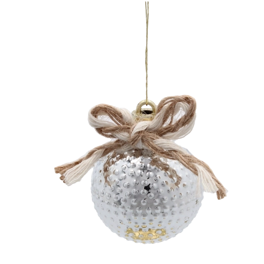 Élégant argent et champagne