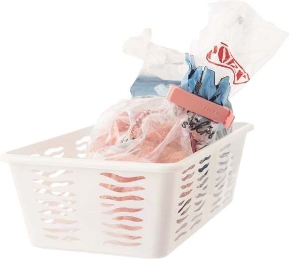 Design moderne Zebra et assortiment de couleurs