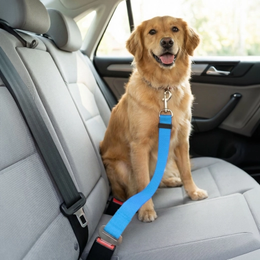 Laisse de sécurité pour chien pour ceinture de sécurité, 45–70 cm - 1 pièce