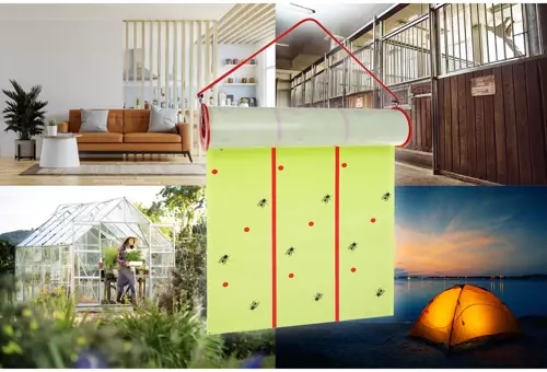 Utilisation universelle dans différents environnements