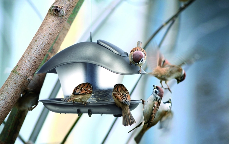Réservoir transparent pour un contrôle facile de la nourriture