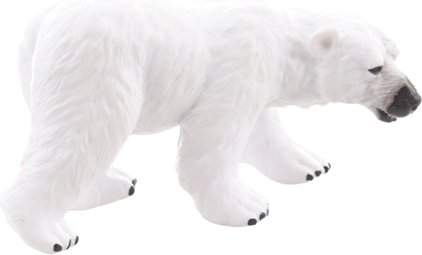 Idéal pour la collection et l’exposition