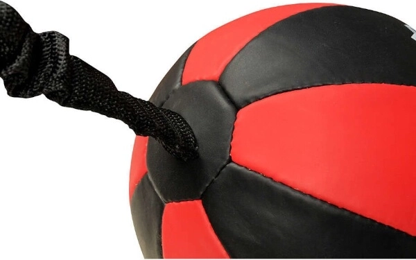 Construction résistante pour un entraînement intensif