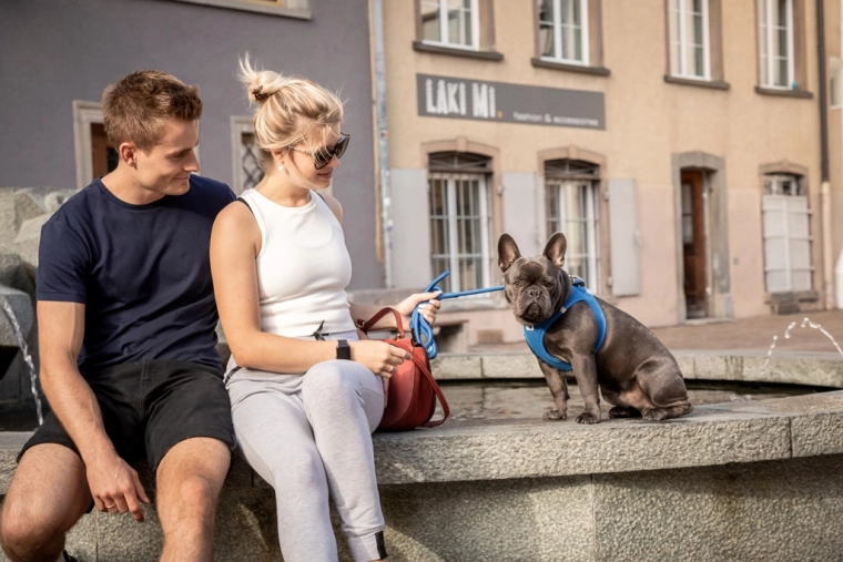 Accessoires pratiques pour les promenades