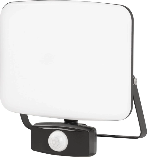 Projecteur LED Retlux 50 W avec capteur PIR