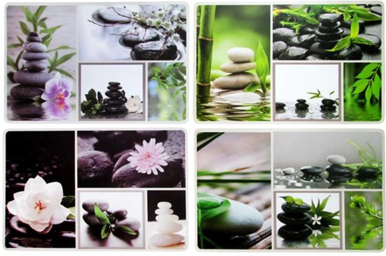 Set de table en plastique TORO jardin, 28,5 × 44 cm, motifs assortis