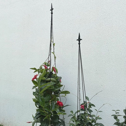 Obélisque de soutien de jardin en métal pour plantes grimpantes 150 cm