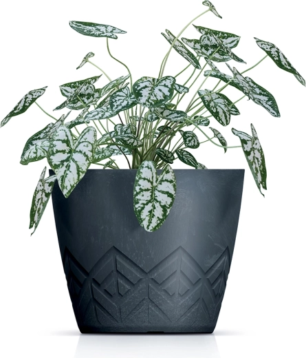 Plastique léger mais résistant