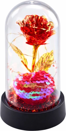 Cloche transparente protectrice
