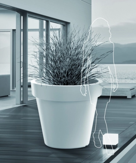 Espace pour de grandes plantations