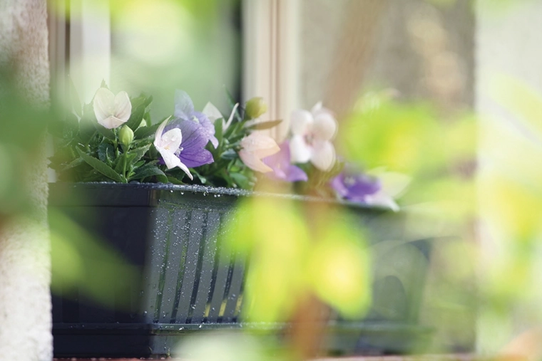 Anthracite élégant pour tout extérieur