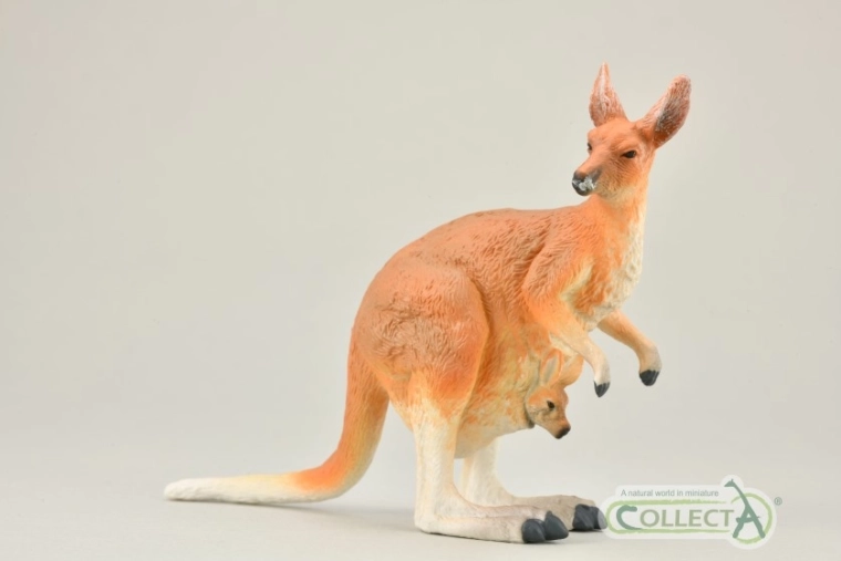 Collecta kangourou roux avec son petit