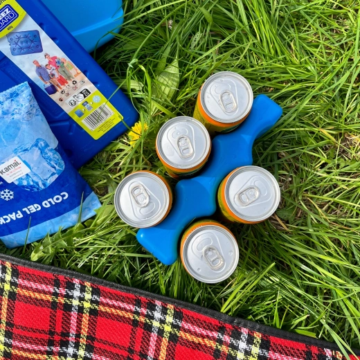 Forme pour 6 canettes – froid et ordre