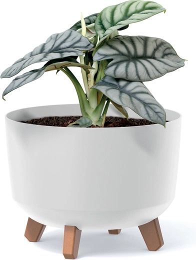 Stabilité et meilleure circulation de l’air