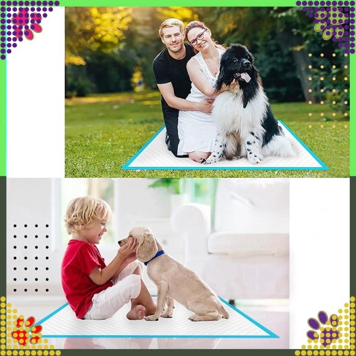 Utilisation polyvalente à la maison et à l’extérieur