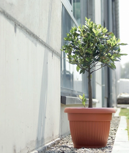 Pour la maison et le jardin
