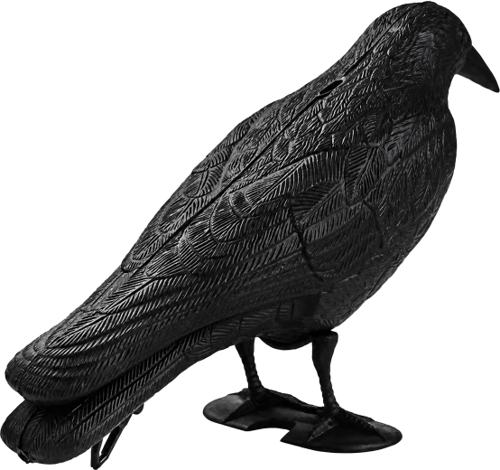 Aspect réaliste pour une dissuasion efficace des oiseaux