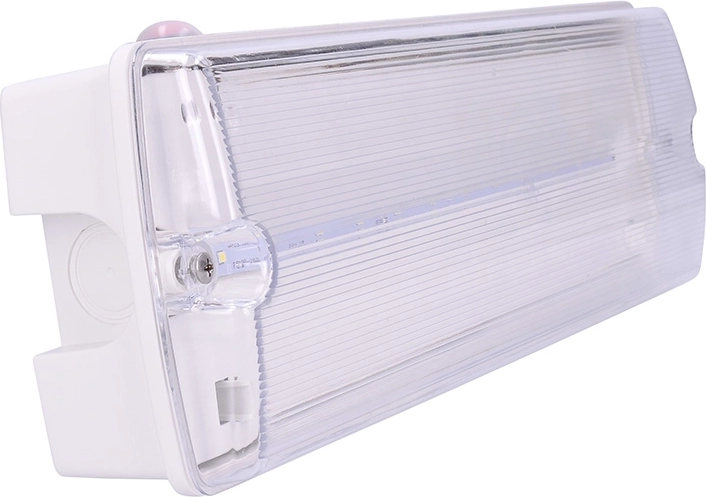 Protection IP65 robuste pour conditions exigeantes