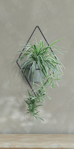 Adapté au mur pour une organisation claire de la verdure