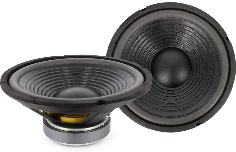 Haut-parleur de 10 pouces 250 mm 120/240 W