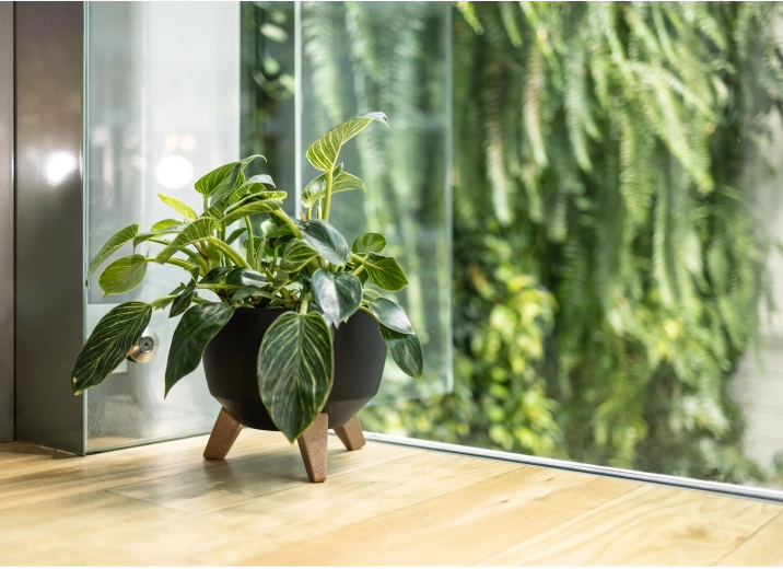 Élégance dans tous les espaces