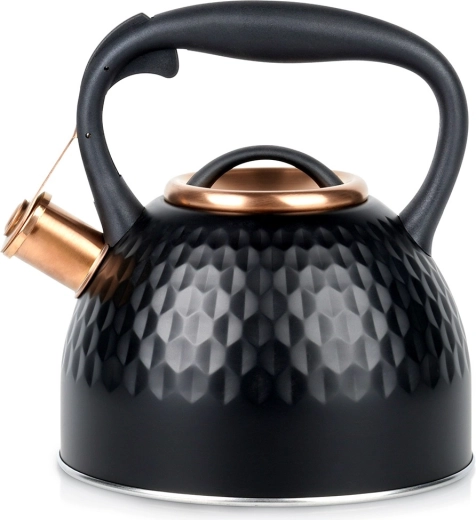 Bouilloire en acier inoxydable avec sifflet Vilde noire 2,5 l
