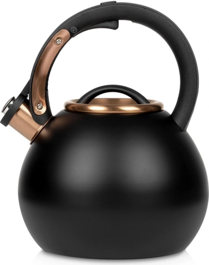 Bouilloire Vilde en acier inoxydable avec sifflet, 3 l, noire