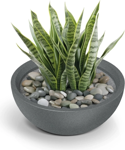 Accessoire stylé pour la verdure