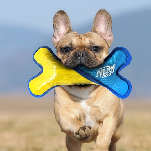 Haute visibilité pour les jeux en extérieur