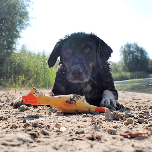 Jaune vif pour un repérage facile