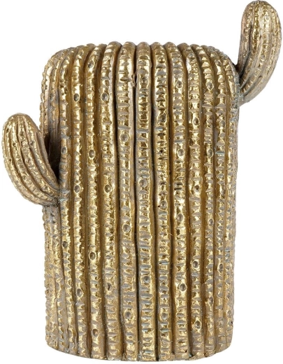 Texture de cactus réaliste