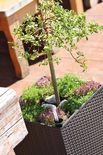 Entretien facile grâce à l’insert amovible