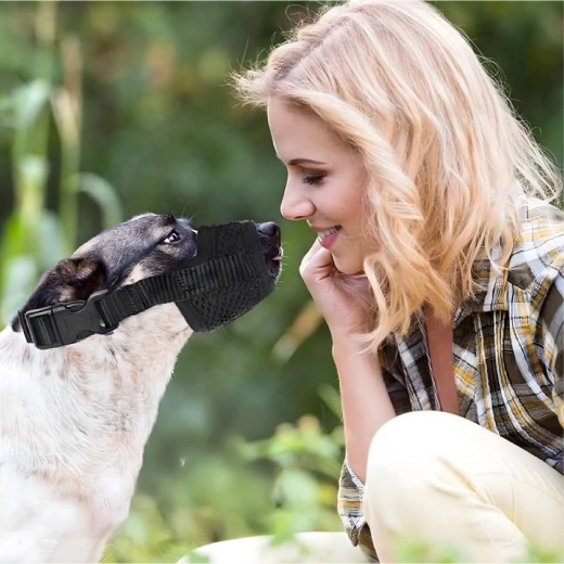 Sécurité à l’entraînement comme chez le vétérinaire