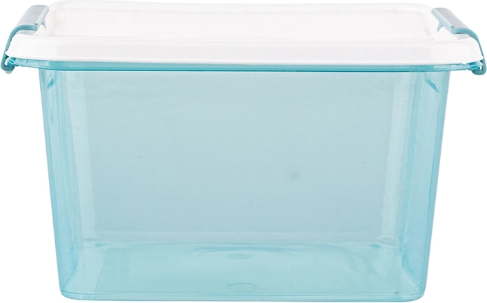 Conception transparente et fermeture par clips