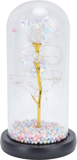 La cloche en verre protège et sublime