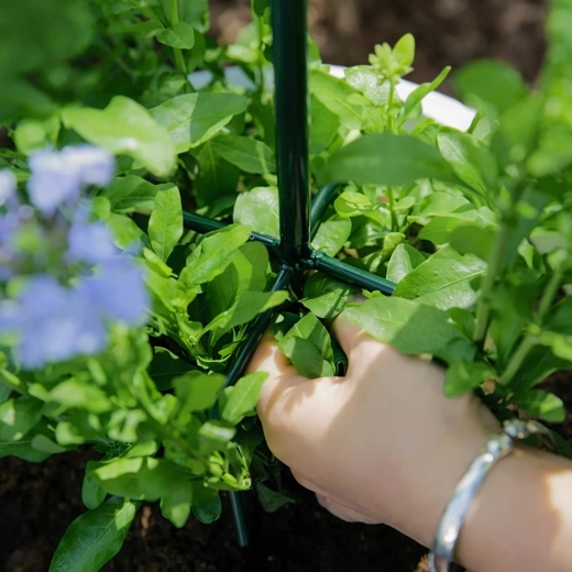 Support stable pour une croissance saine