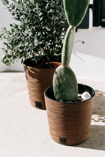 Forme basse et stable